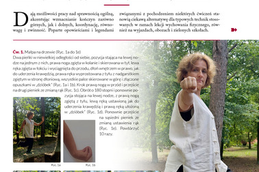 Zajęcia w plenerze – trening wzmacniający (cz. 4)