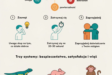 Pozytywna neuroplastyczność Jak uczyć mózg zmiany na lepsze